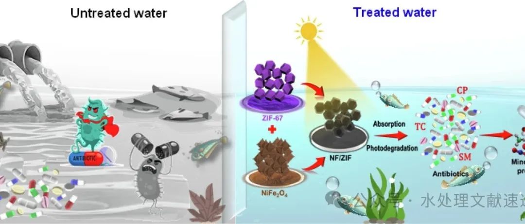 文献速递|印度SRM科学技术研究所SPT:连续流反应器中协同吸附和可见光催化去除持久性污染物的实样分析