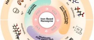 Biosens. Bioelectron. | 铁基纳米酶在农业污染物比色传感中的研究进展与应用