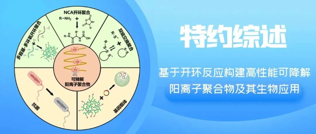 北京化工大学俞丙然教授和徐福建教授团队特约综述：基于开环反应构建高性能可降解阳离子聚合物及其生物应用