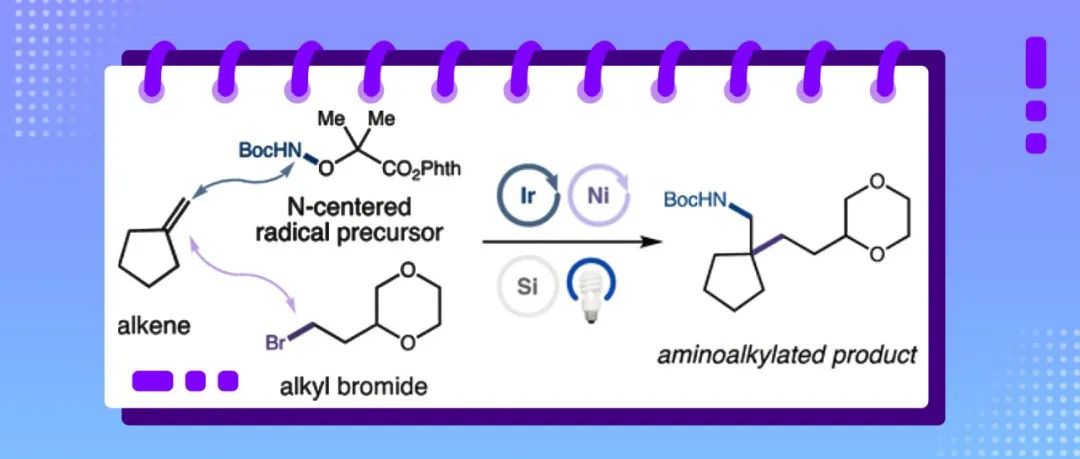 诺奖得主最新JACS：利用三线态自由基分选实现烯烃的胺-烷基化反应