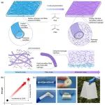 武汉大学陈朝吉、邓红兵/浙江大学庞震乾等 Sci. Bull.：水-纤维素-共聚物相互作用调节实现互连中空纤维网络增强水凝胶