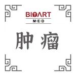 J Biol Chem丨胡命豪课题组发现化疗耐药非小细胞肺癌中KRAS翻译调控的新型小分子抑制剂