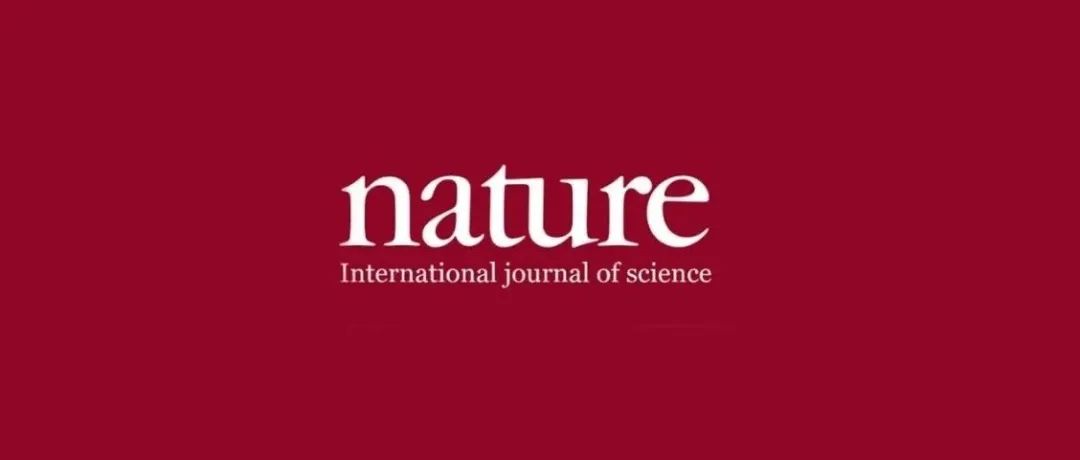 2025年，北航第一篇《Nature》！
