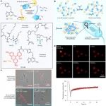 Nat. Chem. Biol. | 通过细胞区室中的人工金属酶组装增强催化作用