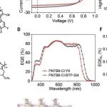 华中科技大学最新Science！