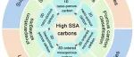 Carbon Future：大比表面积碳材料！