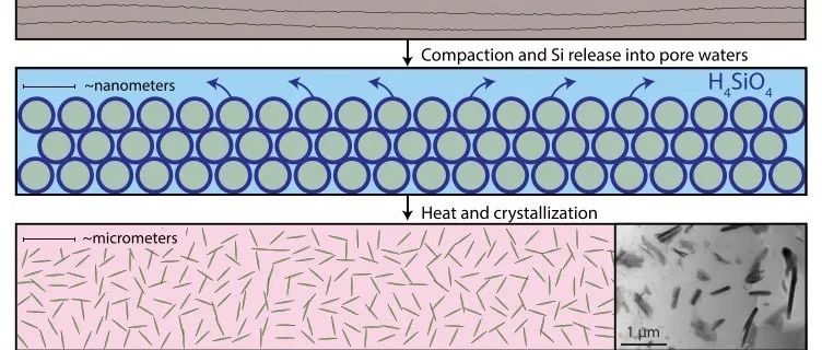 Geology：地球早期硅的搬运工——绿泥石与燧石的亿年之谜