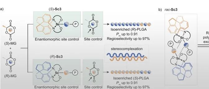 四川大学朱剑波教授团队 Angew：螺环Salen钪金属配合物催化外消旋甲基乙交酯区域和立体选择性开环聚合