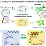 北京大学宛新华/张洁团队 Macromolecules：聚合后反应诱导自组装构筑聚苯乙炔手性材料