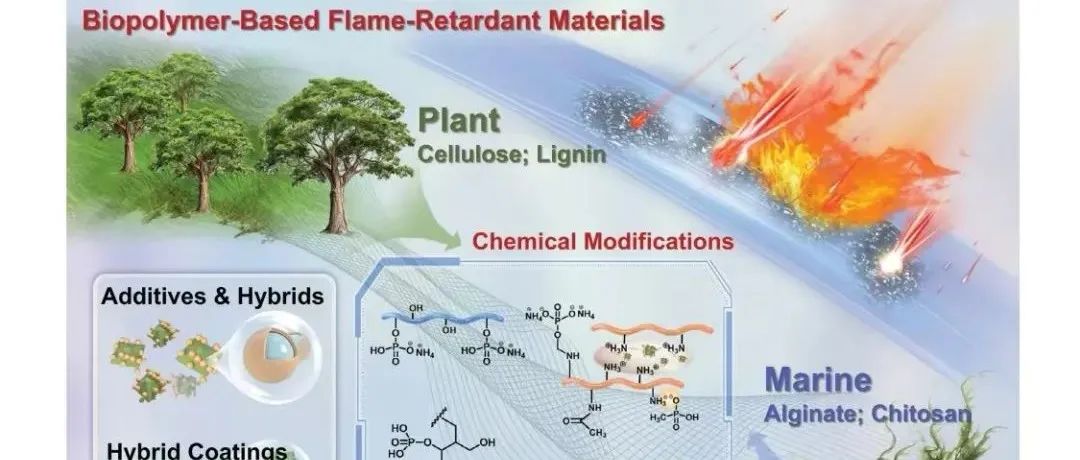 王玉忠院士、徐英俊教授等 Adv. Mater. 综述：生物大分子阻燃剂及阻燃材料