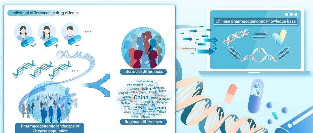 The Innovation | 精准用药，基因先行：首个中国人药物基因组学图谱