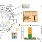 Journal of Ecology | 胡振宏教授团队揭示被子植物与裸子植物木材土壤真菌定殖差异机制