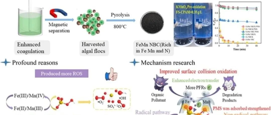 文献速递|安徽工业大学CEJ:从富含藻类的絮状污泥中提取的内生锰/铁生物炭可增强过一硫酸盐活化：改善表面碰撞氧化和协同路径的作用