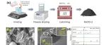 广东工业大学林亲铁团队JHM｜微波强化Fe-O键降低分子氧活化能垒以同步消除抗生素及其抗性基因