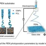 南京林业大学 光热静电纺纳米纤维-生物制药 | Nature Protocols