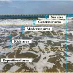 厦门理工学院郭惠斌、傅海燕团队npj CAS：海洋飞沫与大气PM中EPFRS分布特征及其对氧化潜势和活性氧的影响研究