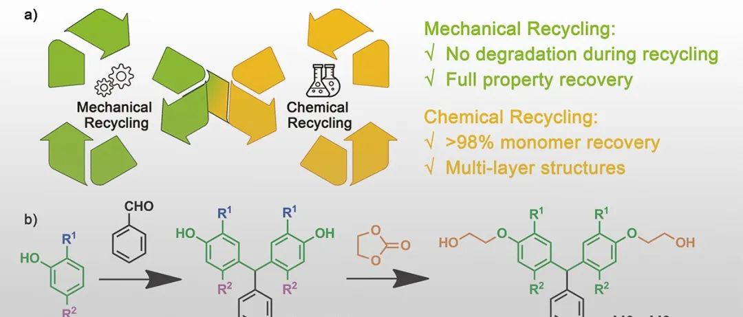 瑞典皇家理工学院韩悦/中科院化学所周恒 Angew：可双循环回收聚酯的分子结构设计