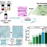 塑料添加剂显著提升导电聚合物热电性能 - 福建物构所林悦团队与国防科大陈晨、程海峰团队在《Adv. Mater.》发表突破性研究