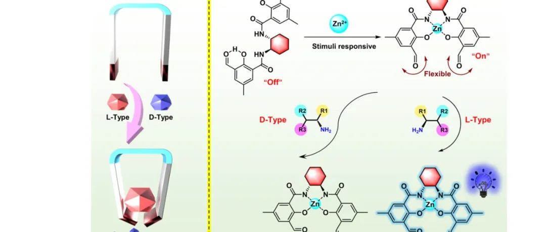Anal. Chem.｜刺激响应光致发光分子镊子用于对映选择性识别手性伯胺