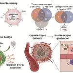 Nat Commun | 中国科学院生物物理研究所范克龙/阎锡蕴团队与合作者共同开发纳米酶靶向乏氧病灶增强鼻咽癌放疗敏感性策略