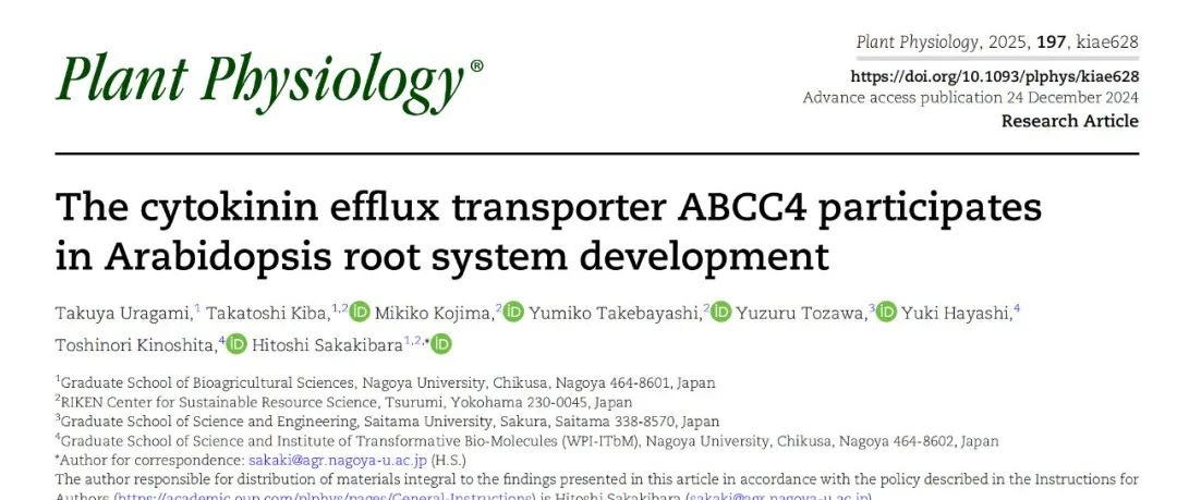 【文献解读】名古屋大学Hitoshi Sakakibara团队发现细胞分裂素外排转运体ABCC4参与拟南芥根系发育