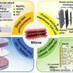 上海电力大学ACIS：面向清洁新型能源系统中金属表面防护用MXene涂层设计策略及防护机制