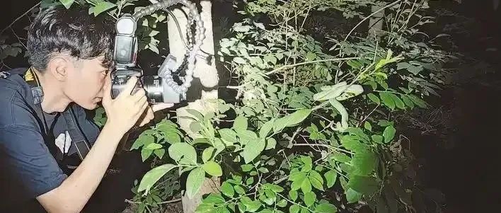 一新物种以安徽农业大学学生名字命名