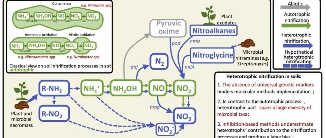 综述文章丨SOIL BIOL BIOCHEM：土壤中的异养硝化：方法和机制