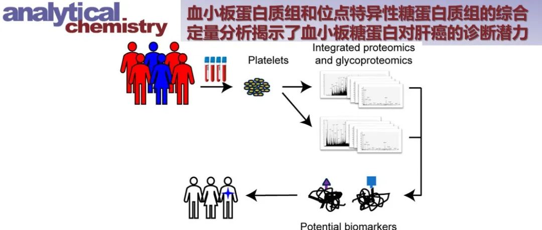 Anal. Chem. | 血小板蛋白质组和位点特异性糖蛋白质组的综合定量分析揭示了血小板糖蛋白对肝癌的诊断潜力