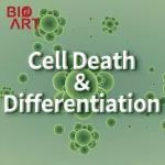 Cell Death Dis丨赵永娟团队揭示邻居效应影响SARM1介导的神经退变