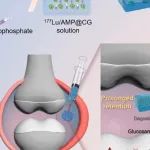 Biomaterials丨中南大学胡硕/周文虎合作制备放射性同位素-核苷酸配位聚合物热敏水凝胶用于骨关节炎治疗