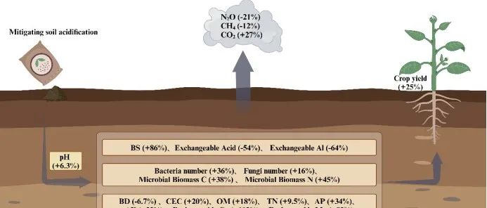 全球土壤酸化缓解评估|缓解土壤酸化对于减少温室气体排放和改善土壤质量、作物产量和农业经济效益至关重要：来自全球荟萃分析的证据