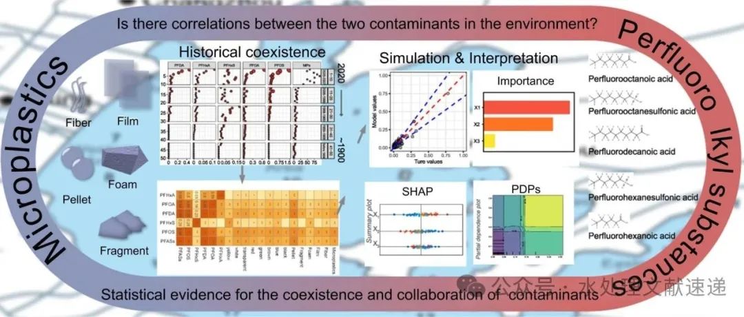 文献速递|南京师范大学JHM:可解释的机器学习模型揭示了沉积物中微塑料和全氟烷基物质在一个世纪尺度上的伙伴关系
