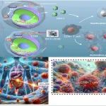 Cell Death Dis | 南华大学祖旭宇教授/申莹莹教授团队发表代谢重塑促进肝再生最新研究成果