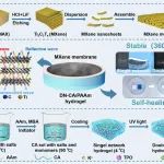 长安大学颜录科、西工程大张鹏飞 JMCA：自修复、抗变形MXene双网络水凝胶用于稳定太阳能驱动界面蒸发