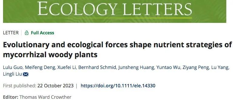 进化和生态作用力改变了菌根共生的木本植物的养分策略  | English