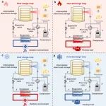 上海交大王如竹ITEWA团队EES：中间温度储热技术为冬季储热及夏季储冷提供全球化解决方案