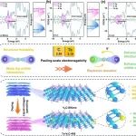 郭东轩教授、李金龙教授、褚大卫副教授：优化V2C-MXene中d-p轨道杂化以增强钠离子捕获能力在电容脱盐中的应用