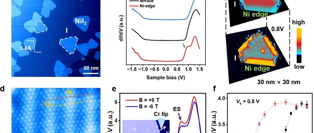 单层NiI&#8322;中实现取向选择的自旋极化边缘态 | 进展