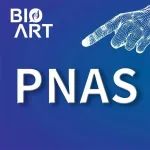 PNAS | 高珊/刘一凡团队合作揭示了真核生物两种DNA N6-腺嘌呤甲基化酶复合体的双重调控模式