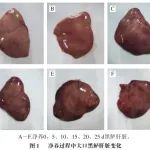 《食品科学》：浙江省水产技术推广总站王扬正高级工程师等：循环水净化养殖过程中大口黑鲈生长及肌肉品质变化