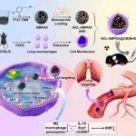 陆军军医大学郝玉徽团队CEJ：仿生聚多巴胺纳米组装体通过PI3K/AKT/S100A4通路调节M2巨噬细胞极化缓解放射性肺纤维化