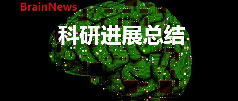 【2025国科金热点追踪 03期】脑-肠轴篇