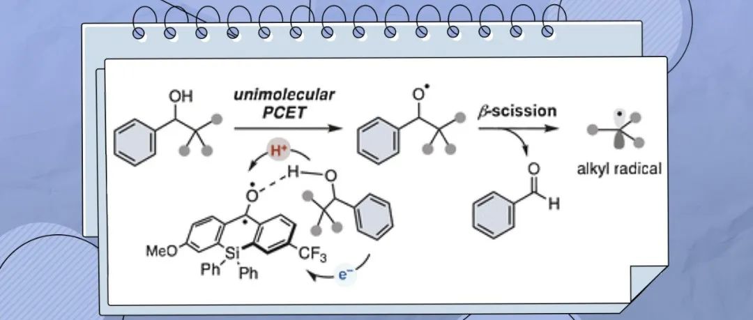 京都大学与东京科学大学Chem. Sci.：有机光氧化还原催化实现苄醇单分子质子耦合电子转移