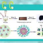 ACS Catal.：探索铱钴氧化物催化剂在不同电解质介质中发生析氧反应的结构-功能关系