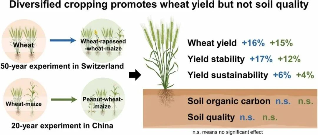 长期多样化种植| FIELD CROP RES：长期多样化种植促进了不同气候条件下小麦产量和可持续性：来自中国和瑞士的证据