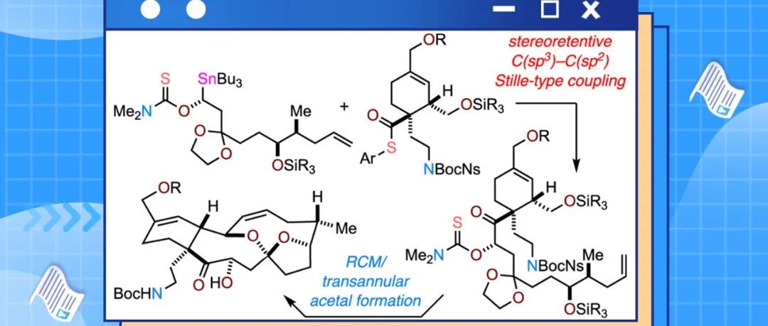 OL.：有机催化剂介导的不对称锡基化反应和C(sp3)-C(sp2)Stille耦联合成Portimine骨架