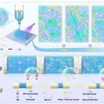 清华大学王贵怀/王秀梅 Bioact. Mater.：开发生物3D打印类神经组织新研究