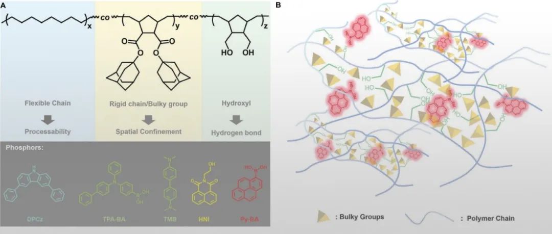 重庆理工王凯悌/杨朝龙、南洋理工赵彦利《Adv. Mater.》：环烯烃聚合物多重刚性作用实现水/高温等恶劣环境下的磷光发射