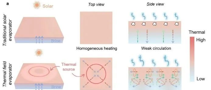 苏州大学方剑/NUS陈瑞深 AFM：主动热场集成实现海水淡化阻盐新突破